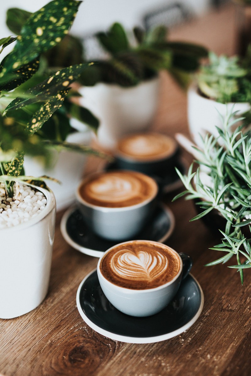 Coffee Basics: Pour-Over Ratios and Flavor Notes